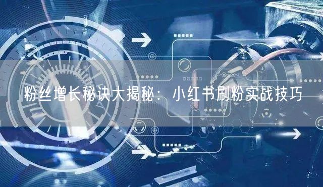 粉丝增长秘诀大揭秘：小红书刷粉实战技巧