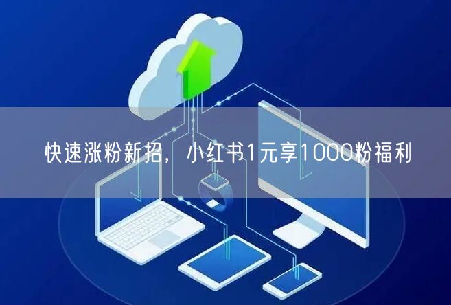 快速涨粉新招，小红书1元享1000粉福利