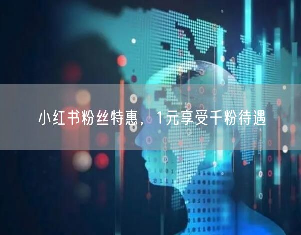 小红书粉丝特惠，1元享受千粉待遇