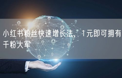 小红书粉丝快速增长法，1元即可拥有千粉大军