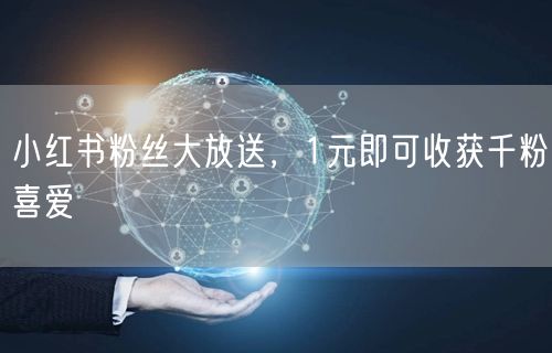 小红书粉丝大放送，1元即可收获千粉喜爱