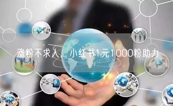 涨粉不求人，小红书1元1000粉助力
