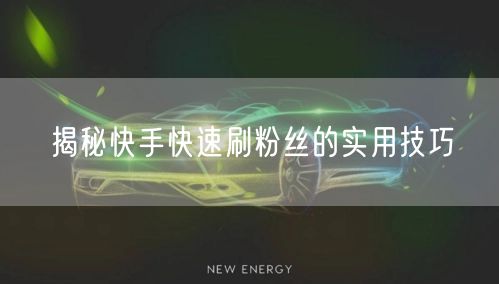 揭秘快手快速刷粉丝的实用技巧