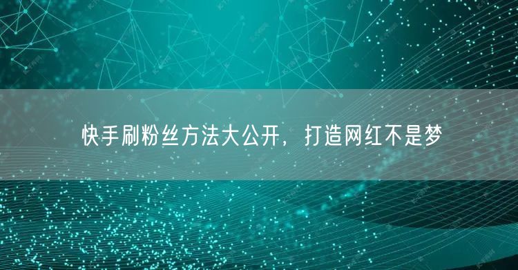快手刷粉丝方法大公开，打造网红不是梦
