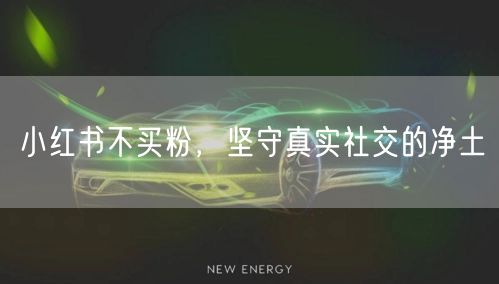 小红书不买粉，坚守真实社交的净土